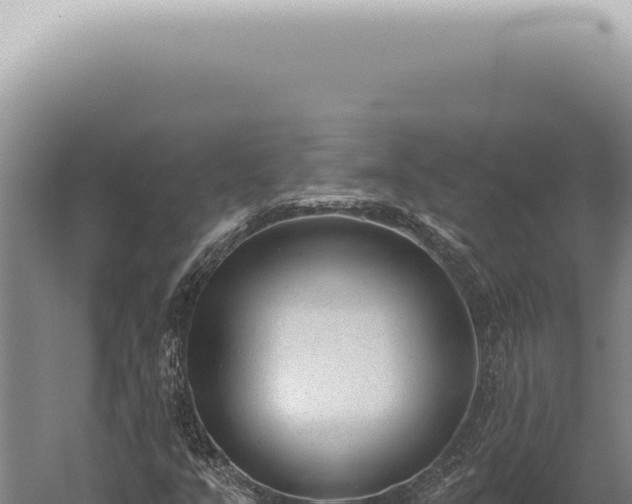 X0000059821351200510281721