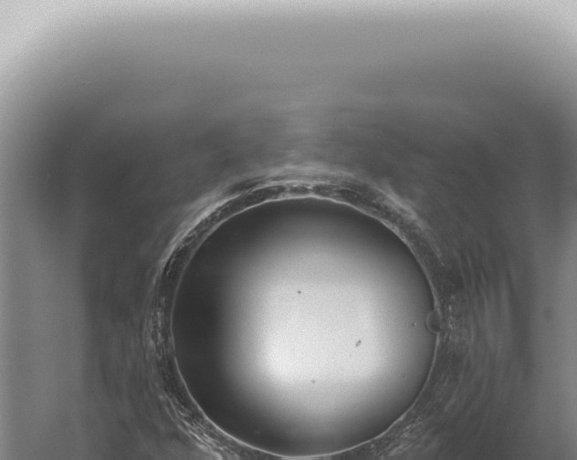 X0000059821352200510281721