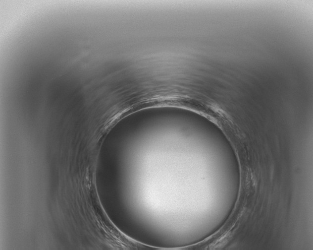 X0000059821353200510281721