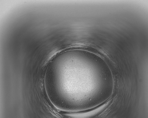 X0000059821355200510281721