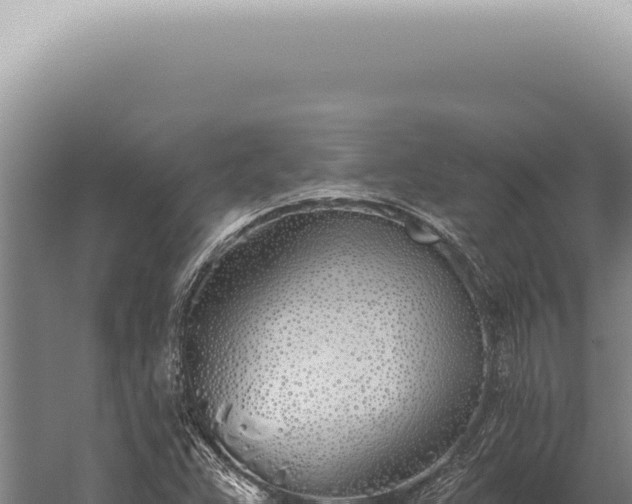 X0000059821359200510281720