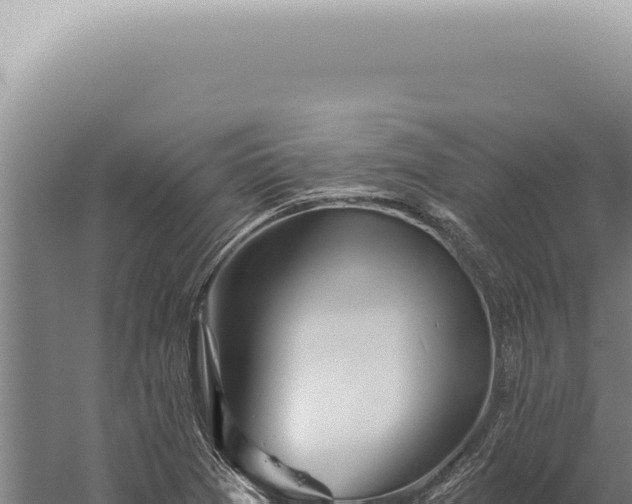 X0000059821361200510281720