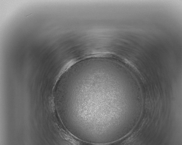 X0000059821362200510281720