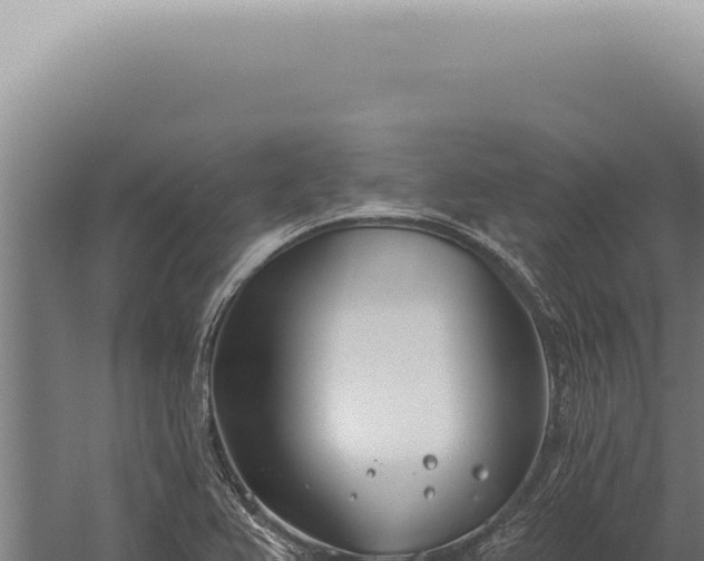 X0000059821367200510281720