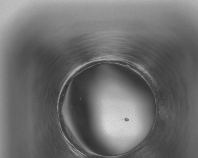 X0000059821372200510281720