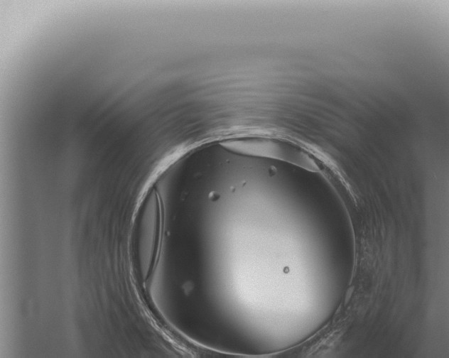 X0000059821373200510281720