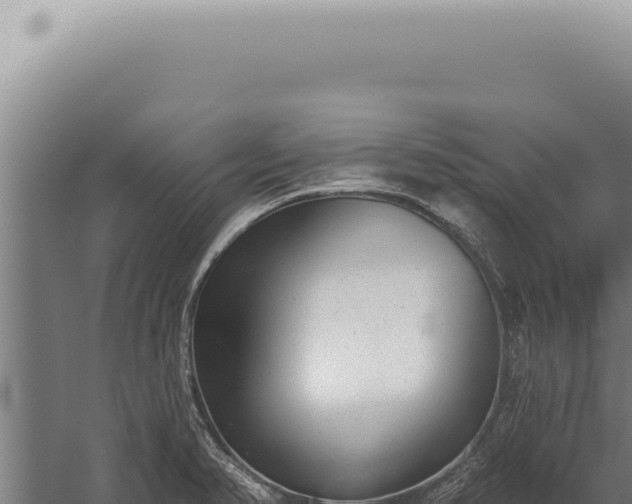 X0000059821374200510281720