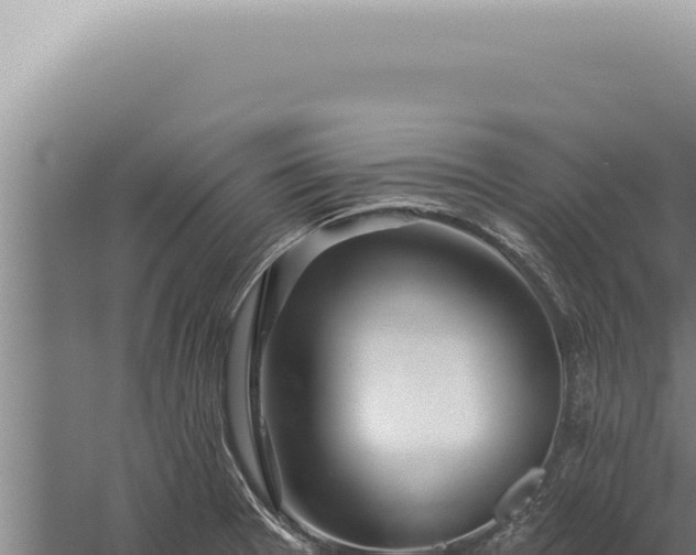 X0000059821377200510281720