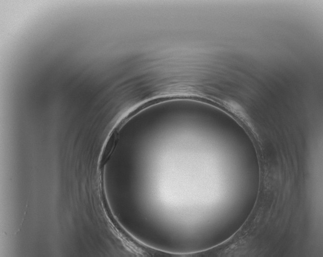 X0000059821380200510281720