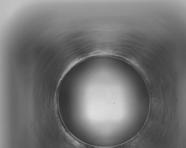 X0000059821382200510281720