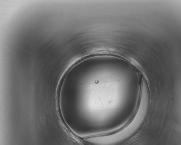 X0000059821384200510281720