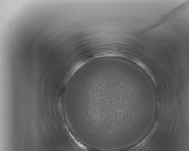 X0000059821385200510281720