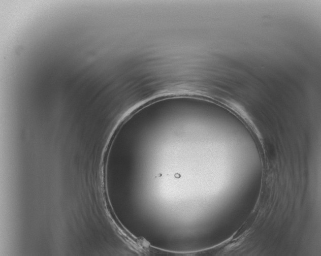 X0000059821388200510281720