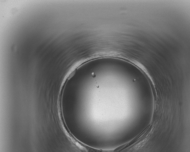 X0000059821389200510281720