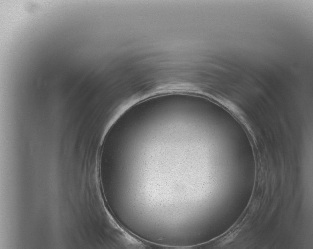 X0000059821390200510281720