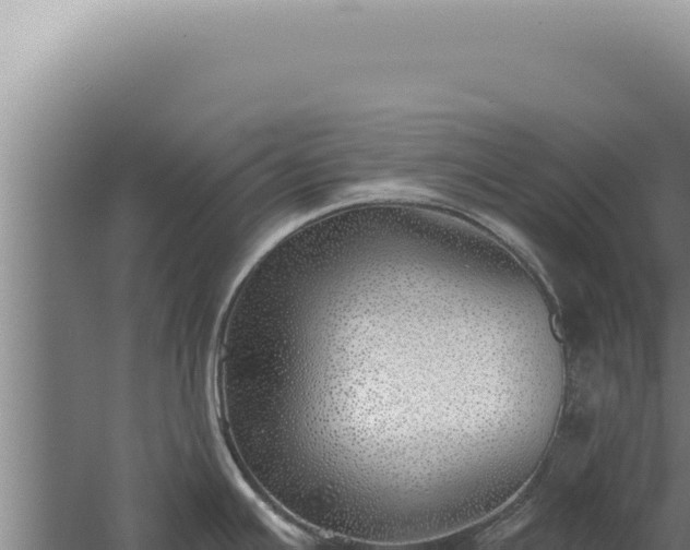 X0000059821391200510281720