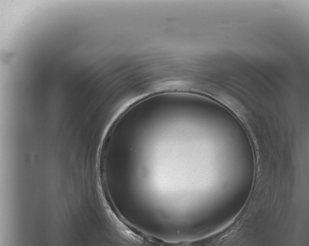 X0000059821392200510281720