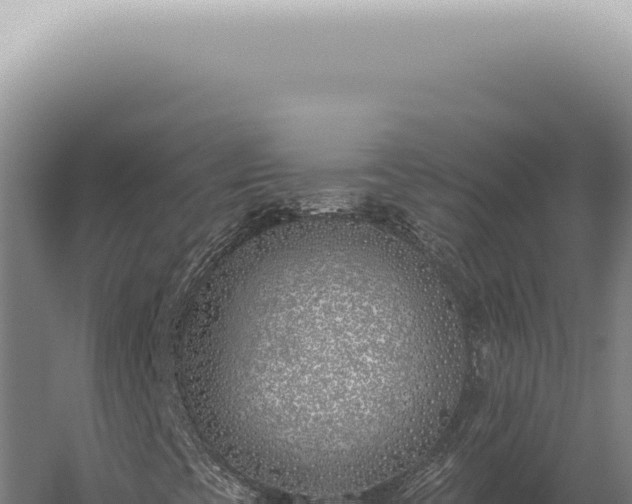 X0000059821393200510281719