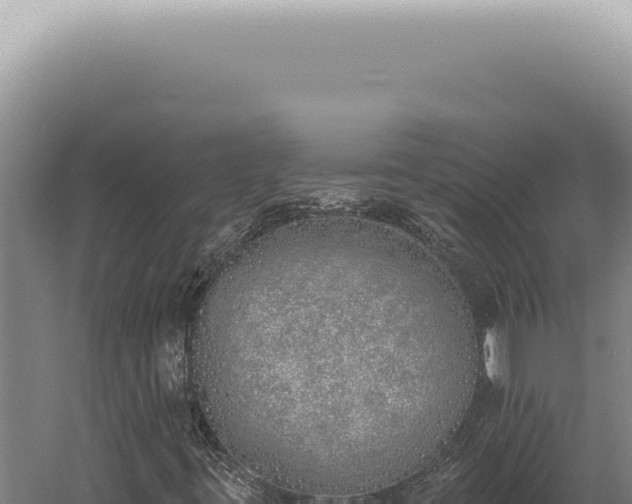 X0000059821395200510281719