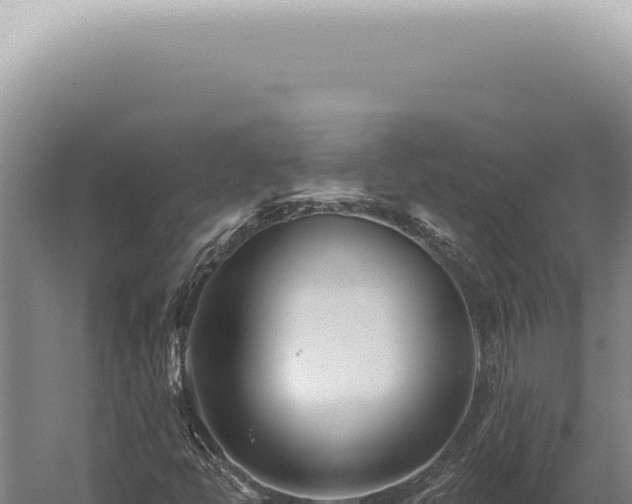 X0000059821398200510281719