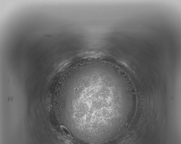 X0000059821399200510281719