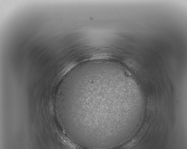 X0000059821401200510281719