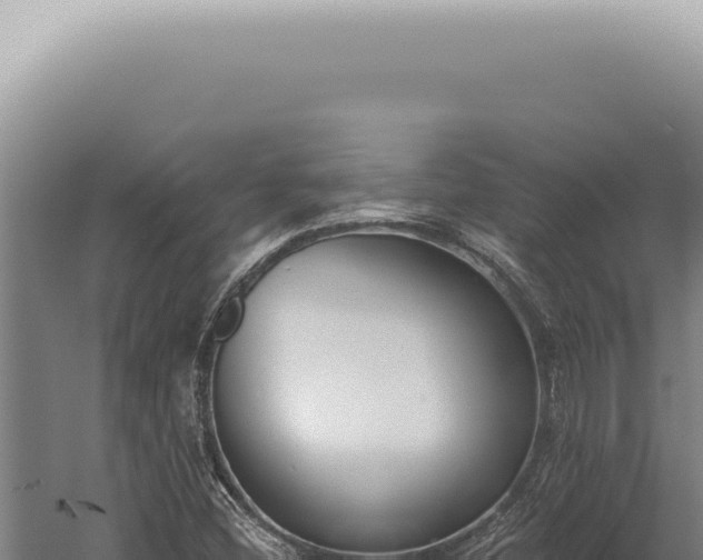 X0000059821404200510281719