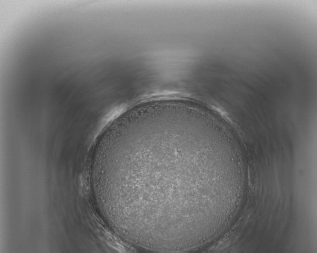 X0000059821405200510281719