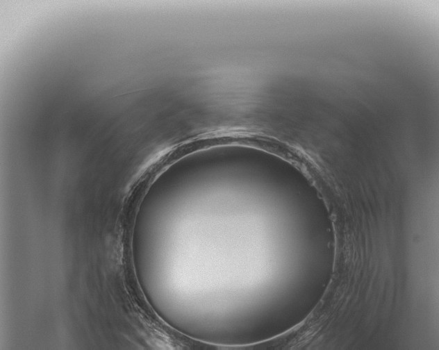 X0000059821406200510281719