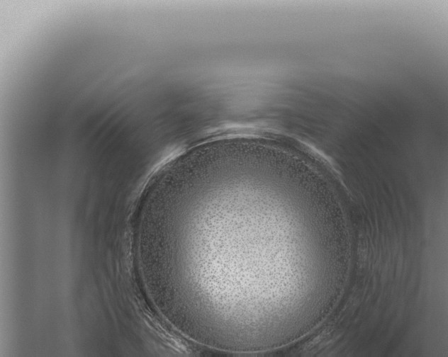 X0000059821411200510281719