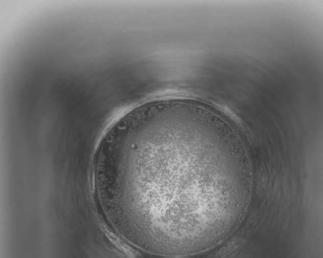 X0000059821413200510281719