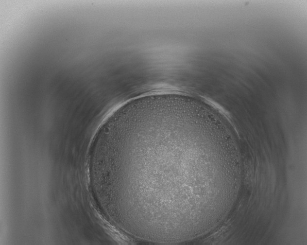 X0000059821415200510281719