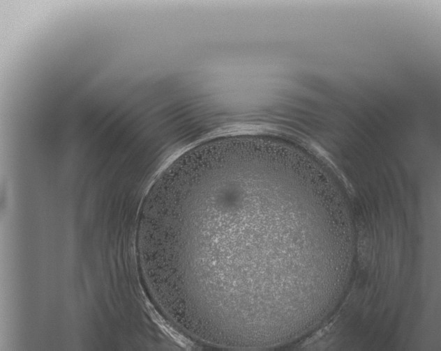 X0000059821417200510281719