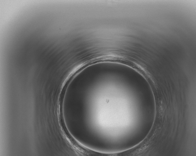 X0000059821418200510281719