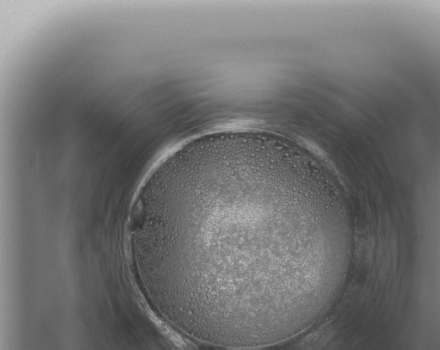 X0000059821421200510281720