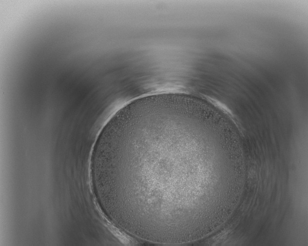 X0000059821423200510281720