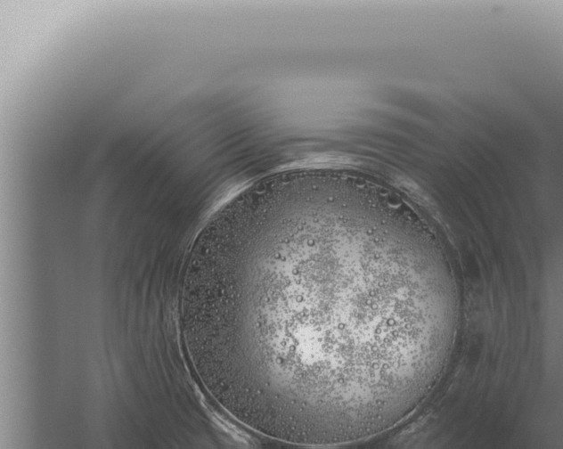 X0000059821425200510281720