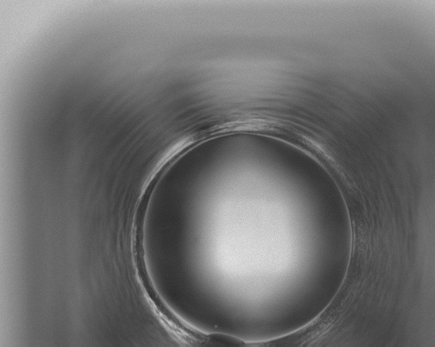 X0000059821426200510281720