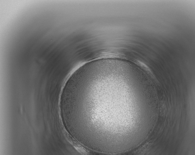 X0000059821427200510281720