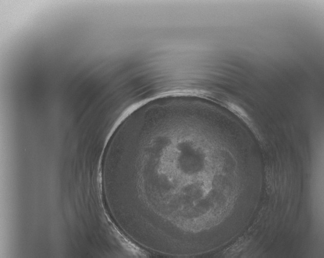 X0000059821428200510281720