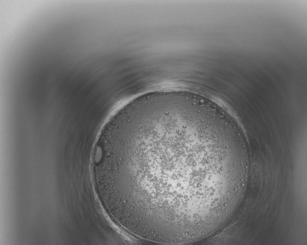 X0000059821429200510281720