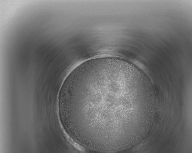 X0000059821431200510281720