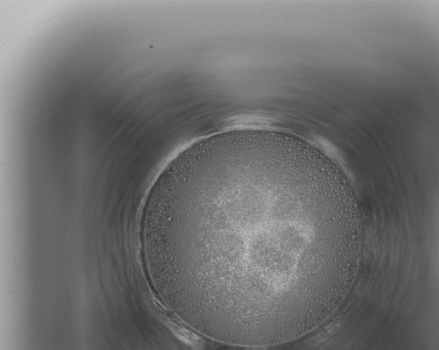 X0000059821435200510281720