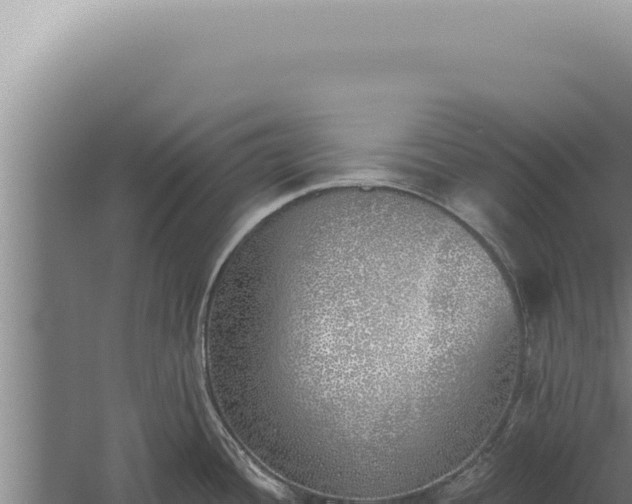 X0000059821436200510281720