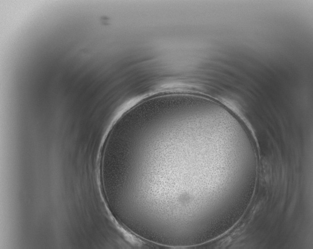 X0000059821437200510281720