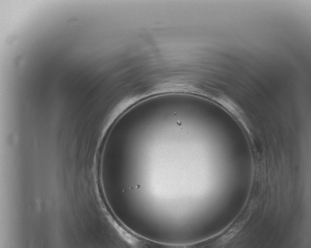 X0000059821438200510281720