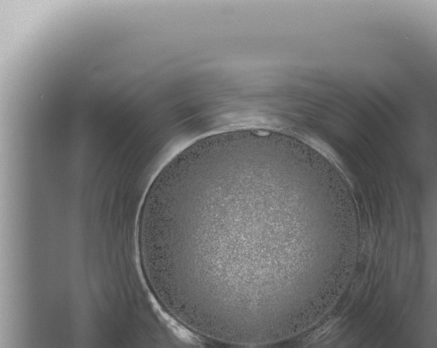 X0000059821439200510281720