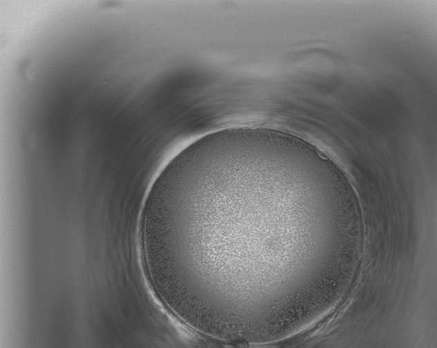 X0000059821440200510281720