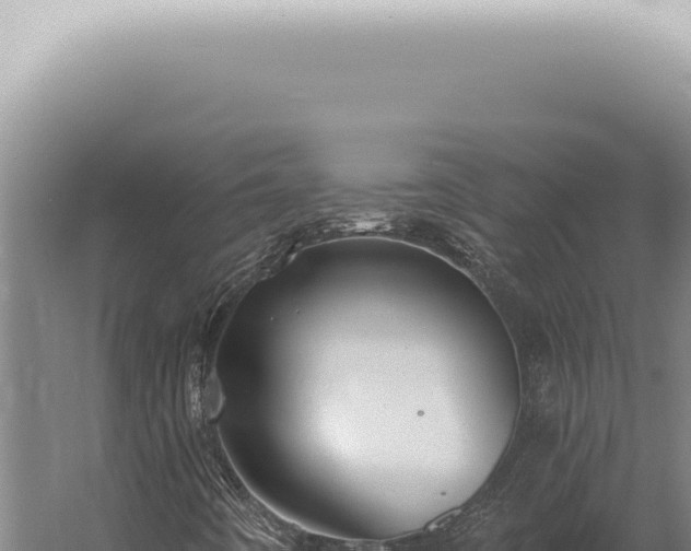 X0000059821442200510281719