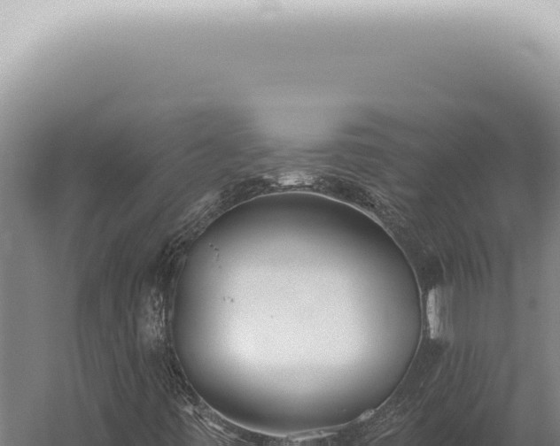 X0000059821443200510281719